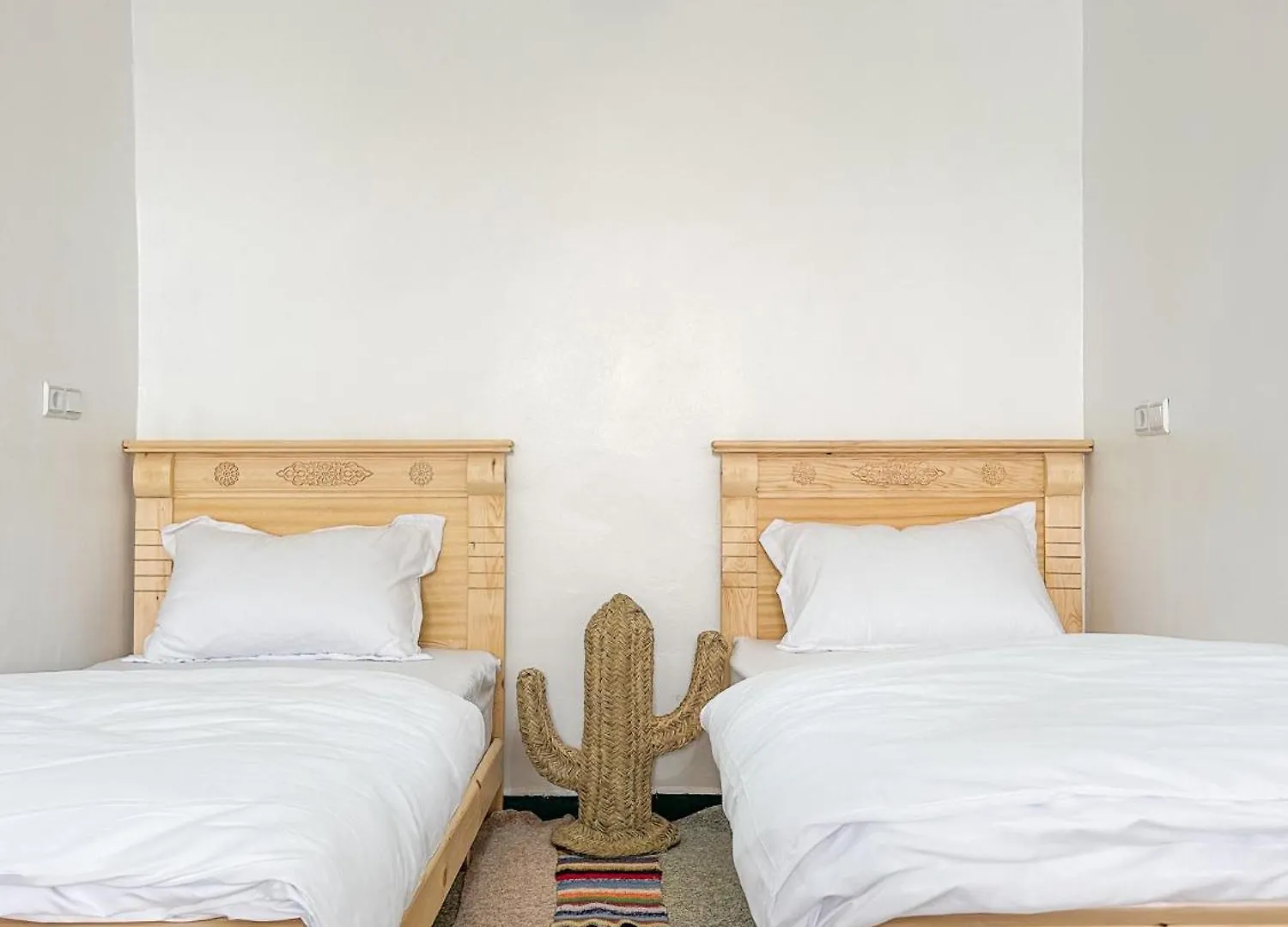 Auberge de jeunesse Single Bed - Cozy Dormitory - Surf Territory Agadir